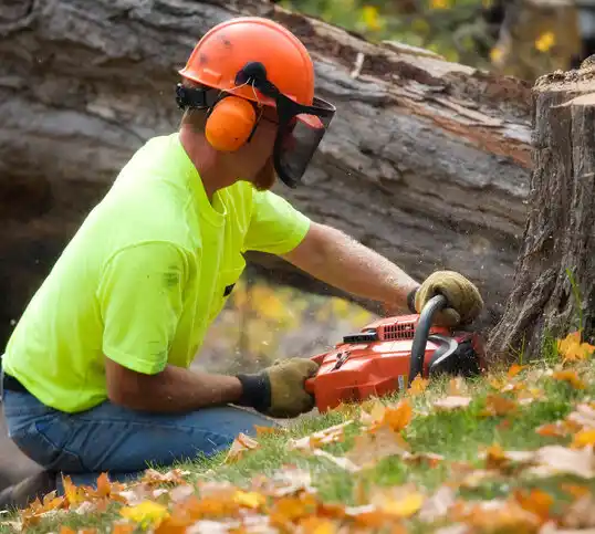 tree services Pine Level